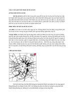 Đô thị vệ tinh