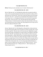 Cảm nhận đánh thức trầu (12 mẫu) siêu hay