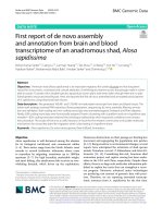 First report of de novo assembly and annotation from brain and blood transcriptome of an anadromous shad, Alosa sapidissima
