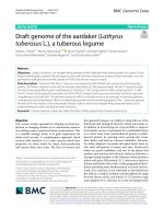 Draft genome of the aardaker (Lathyrus tuberosus L.), a tuberous legume