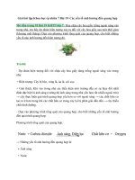 Khoa học tự nhiên 7 bài 19 (cánh diều) các yếu tố ảnh hưởng đến quang hợp