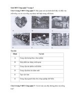 Sách bài tập công nghệ 7 bài 1 (cánh diều) giới thiệu chung về trồng trọt