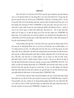 Luận án nghiên cứu biểu hiện dấu ấn tế bào gốc ung thư trong ung thư biểu mô tế bào gan