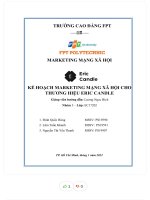 Kế hoạch marketing mạng xã hội cho thương hiệu eric candle