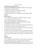 Sbt khoa học tự nhiên 7 bài 15 (cánh diều) từ trường