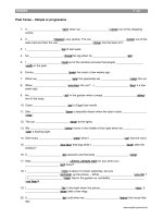 Past Tense Simple Or Progressive - T23