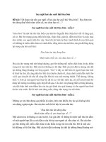 Suy nghĩ hai câu cuối bài hoa bìm (5 mẫu) siêu hay