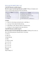 Sbt khoa học tự nhiên 7 bài 18 (cánh diều) quang hợp ở thực vật