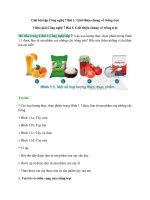 Giải công nghệ 7 bài 1 (cánh diều) giới thiệu chung về trồng trọt