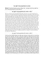 Suy nghĩ về việc gìn giữ bản sắc văn hóa (12 mẫu) siêu hay