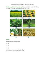 Giải công nghệ 7 bài 3 (cánh diều) nhân giống cây trồng