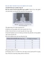 Sbt khoa học tự nhiên 7 bài 20 (cánh diều) thực hành về quang hợp ở cây xanh