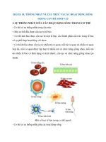 Lý thuyết khoa học tự nhiên 7 bài 35 sự thống nhất về cấu trúc và các hoạt động sống trong cơ thể sinh vật   cánh diều