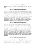 Cảm xúc về bài thơ con chim chiền chiện (12 mẫu) siêu hay