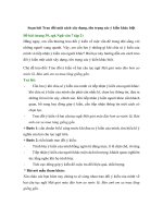 Soạn bài trao đổi một cách xây dựng, tôn trọng các ý kiến khác biệt   ngắn nhất chân trời sáng tạo