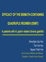 2  drhue  vdd mạn do hp  2eng ebmt 251116