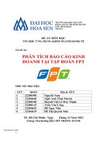 Đề án môn học tin học ứng dụng khối ngành kinh tế đề tài  phân tích báo cáo kinh doanh tại tập đoàn fpt