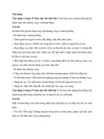 Giáo dục thể chất 7 bài 2 (cánh diều) phối hợp trong giai đoạn xuất phát cao và tăng tốc độ sau xuất phát