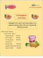 Nghiên cứu mức độ hài lòng của khách hàng đối với sản phẩm mì tôm hảo hảo