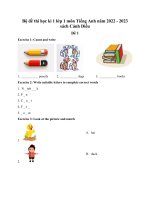 Bo de thi hoc ki 1 lop 1 mon tieng anh sach canh dieu