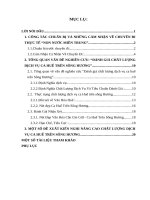 Tổng quan vấn đề nghiên cưu đánh giá chất lượng dịch vụ ca huế trên sông hương