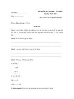 De thi giua ki 1 lop 1 mon tieng viet sach canh dieu de 1