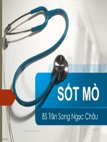 Bài giảng Sốt mò - BS. Trần Song Ngọc Châu