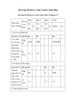 Ma tran de thi hoc ki 1 lop 2 sach canh dieu