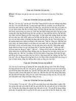 Cảm xúc về bài thơ lời của cây (12 mẫu) siêu hay