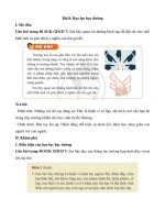 Gdcd 7 bài 8 (cánh diều) bạo lực học đường