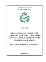 Sàng lọc in silico các hợp chất xanthone có tác dụng ức chế enzyme alphaglucosidase định hướng điều trị đái tháo đường type 2