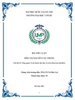 Tổng quan về cây thuốc sắn dây củ tròn (pueraria mirifica)