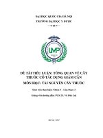 Tổng quan về cây thuốc có tác dụng giảm cân