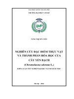 Nghiên cứu đặc điểm thực vật và thành phần hóa học của cây yến bạch (chromolaena odorata l )