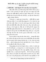 Thời kỳ tokugawa và sự phát triển chuyên biệt của nhật bản