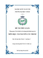 Tổng quan về cây thuốc có tác dụng kích thích mọc tóc