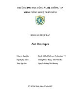 Báo Cáo Thực Tập .Net Developer.doc