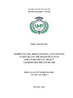 Nghiên cứu đặc điểm lâm sàng, cận lâm sàng và kết quả xử trí thai dưới 12 tuần chửa ở sẹo mổ lấy thai cũ tại bệnh viện phụ sản hà nội
