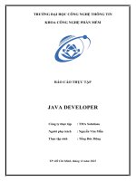 Báo Cáo Thực Tập Java Developer.docx
