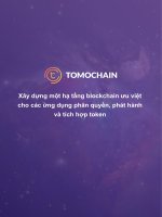 Xây dựng một hạ tầng blockchain ưu việt cho các ứng dụng phân quyền, phát hành và tích hợp token