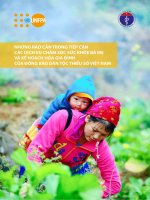 (Luận án tiến sĩ) báo cáo những rào cản trong tiếp cận các dịch vụ chăm sóc sức khỏe bà mẹ và kế hoạch hóa gia đình của đồng bào dân tộc thiểu số việt nam