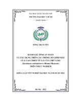 Đánh giá tính an toàn và tác dụng trên các thông số lipid máu của cao chiết từ lá chè vằng (jasminum subtriplinerve blume oleaceae) trên thực nghiệm