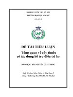 Tổng quan về cây thuốc có tác dụng hỗ trợ điều trị ho