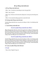 Bố cục phòng tránh đuối nước hay, chính xác nhất   chân trời sáng tạo