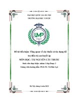 Tổng quan về cây thuốc có tác dụng hỗ trợ điều trị cao huyết áp