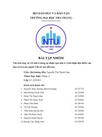 Bài tập nhóm văn hóa ứng xử với môi trường tự nhiên qua nhà ở giới thiệu đặc điểm văn hóa cư trú của người việt từ xưa đến nay