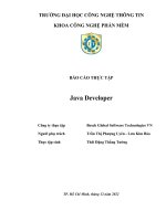 Báo Cáo Thực Tập Java Developer.docx
