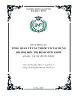 Tổng quan về cây thuốc có tác dụng hỗ trợ điều trị bệnh viêm khớp
