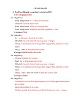 Câu Hỏi Ôn Tập Pháp Luật FPT