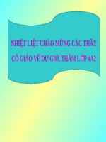 Luyen Tu Va Cau Mo Rong Von Tu Uoc Mo Lop 4.Ppt